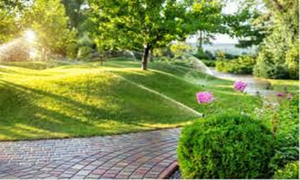 Eco-Friendly Practices Promoting Sustainable Anchorage Landscaping While Preserving Local Environment